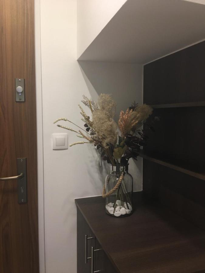 Home Apartment Sopron Zewnętrze zdjęcie